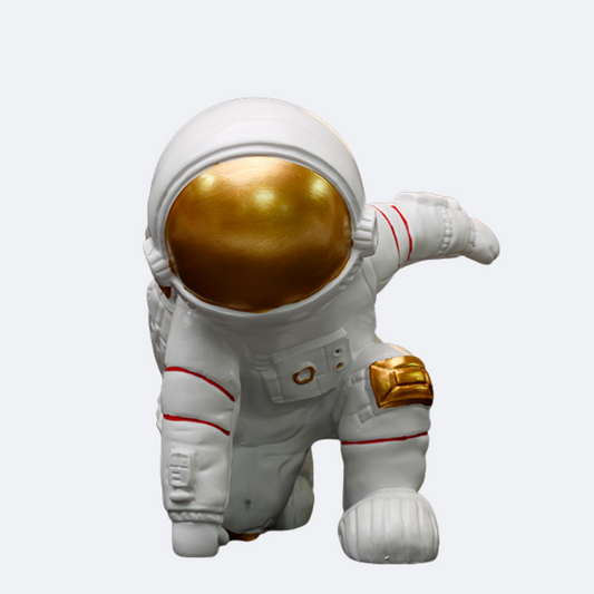 Lunar Touchdown