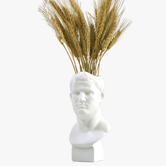 Plant Thinker